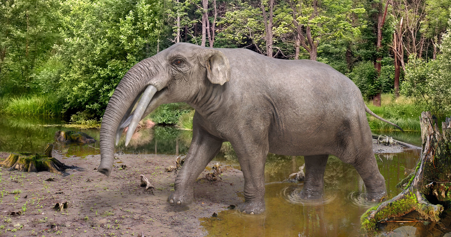 Extinct animals pack version 17 3D model_65