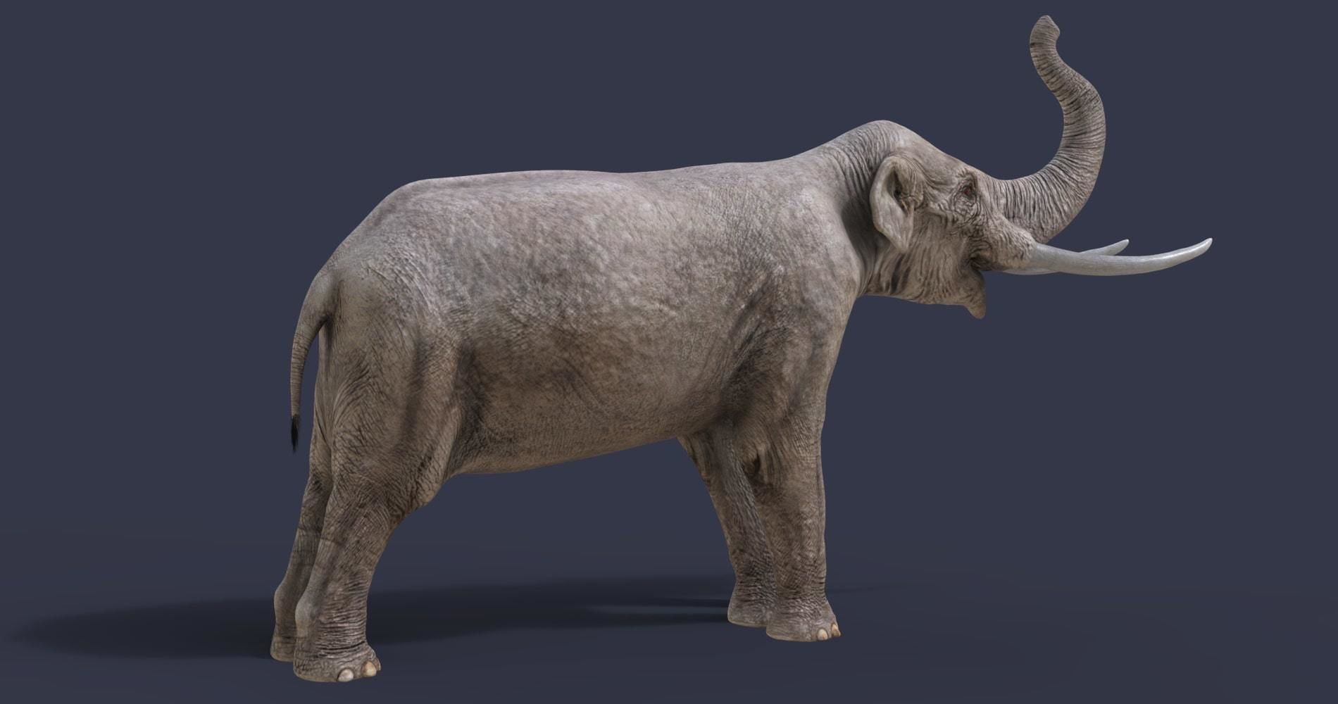 Extinct animals pack version 17 3D model_41