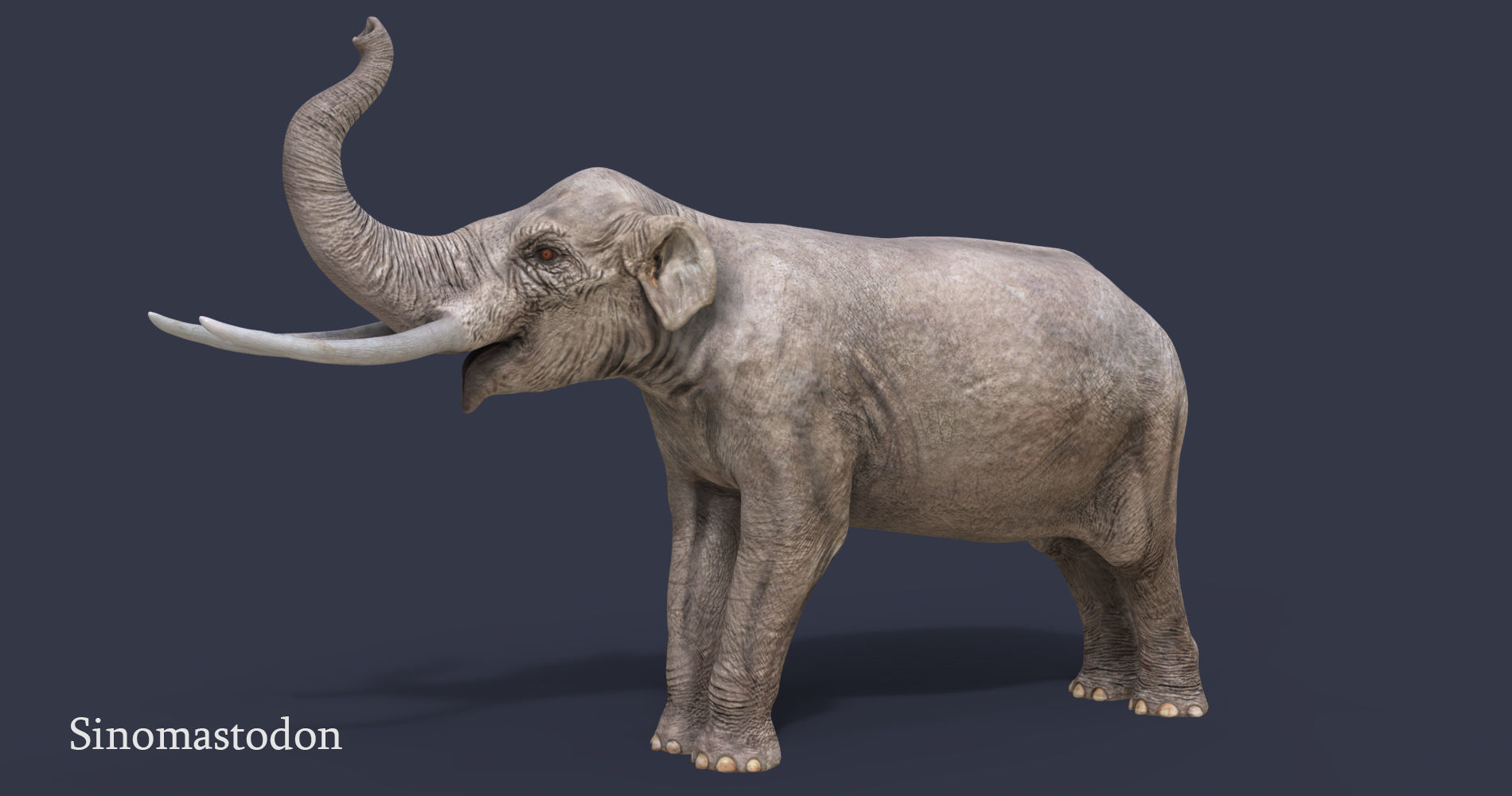 Extinct animals pack version 17 3D model_39