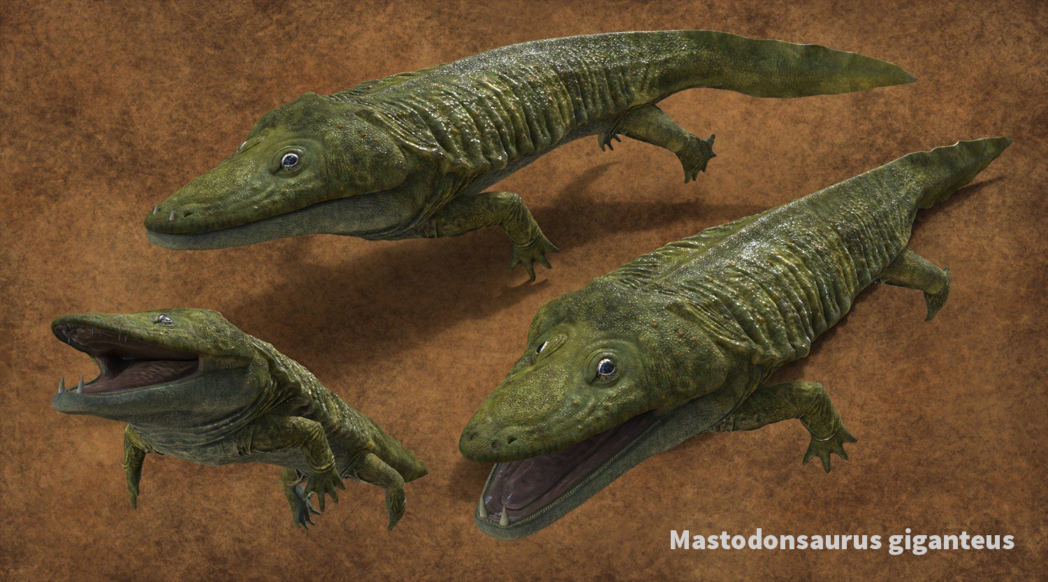 Extinct animals pack version 17 3D model_129