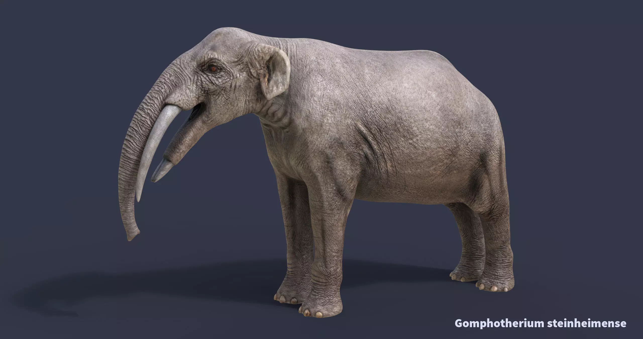 Extinct animals pack version 17 3D model_0