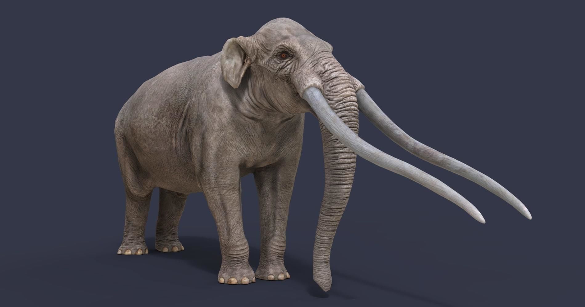 Extinct animals pack version 17 3D model_54