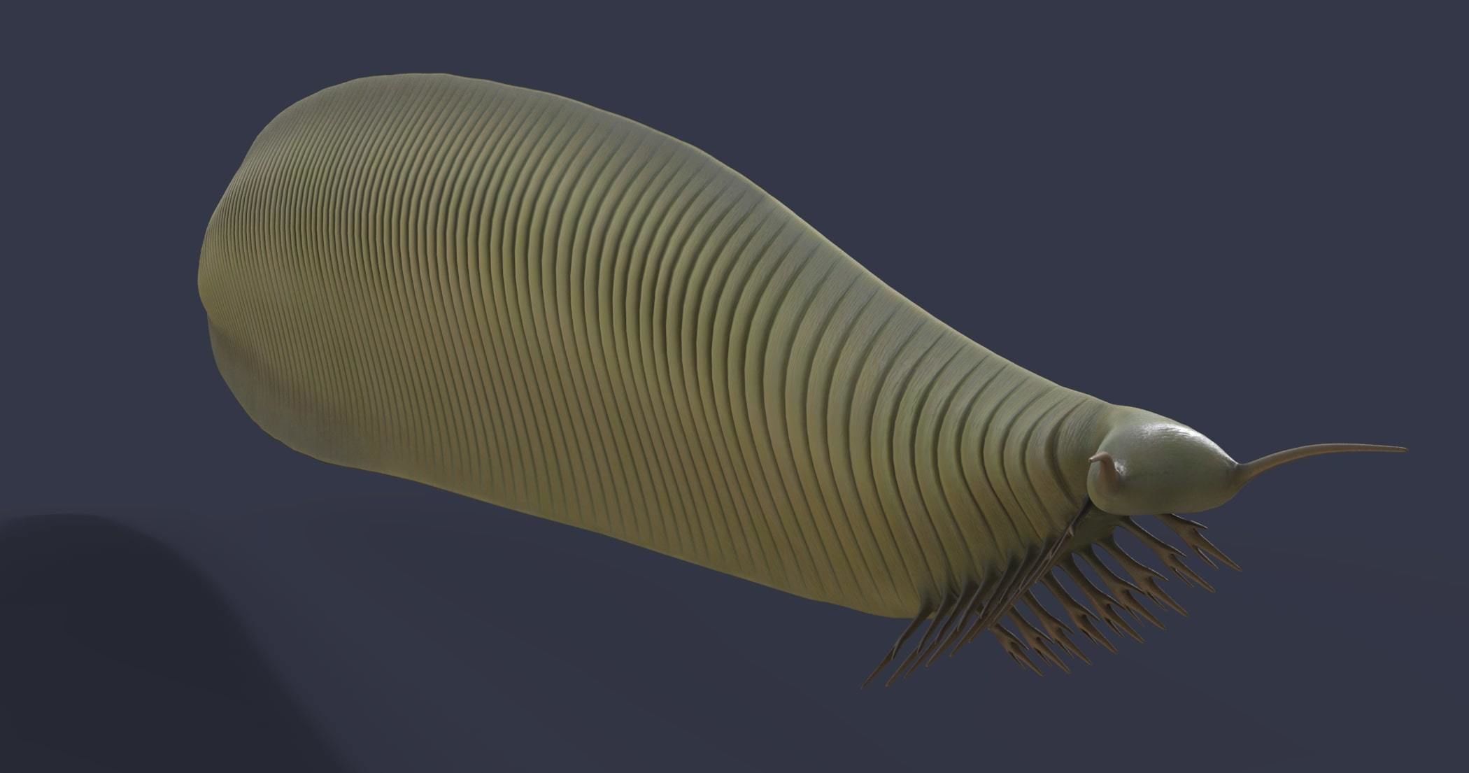 Extinct animals pack version 17 3D model_19