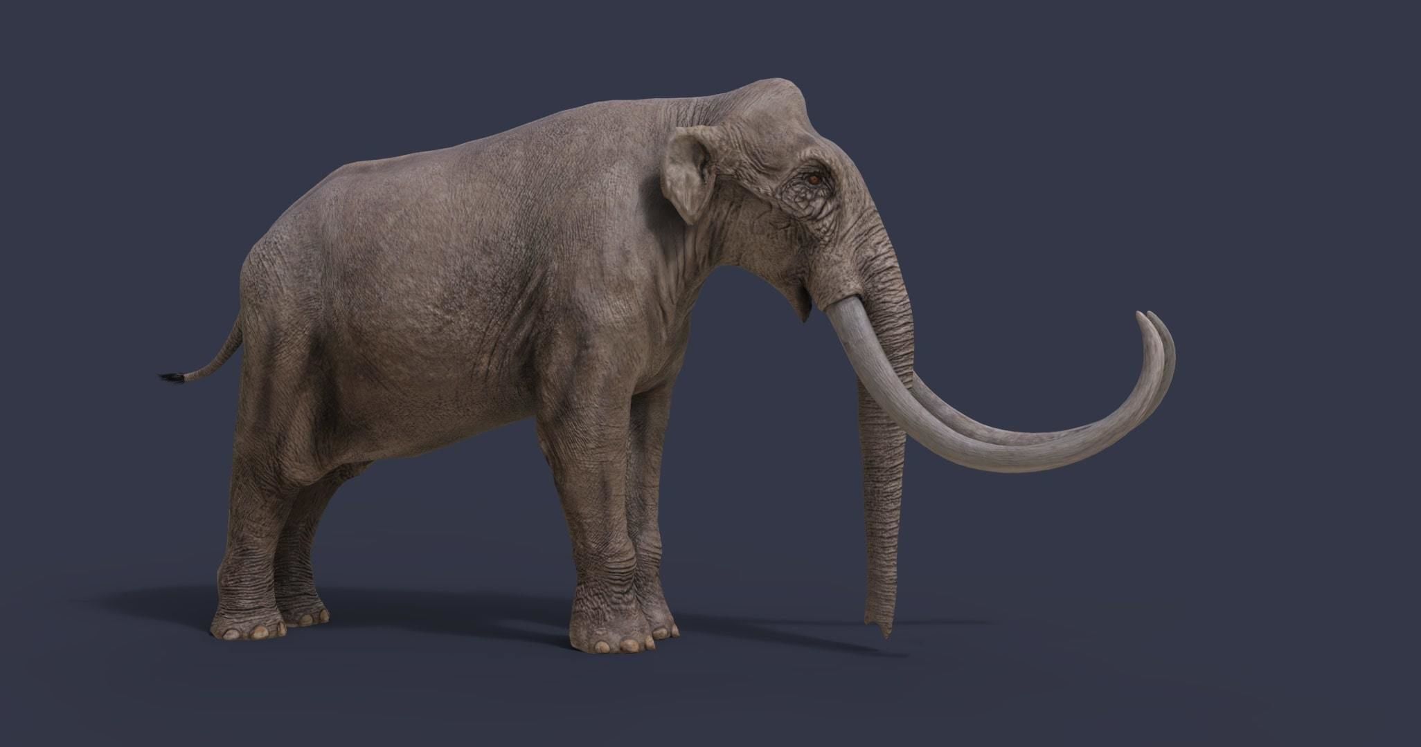 Extinct animals pack version 17 3D model_29
