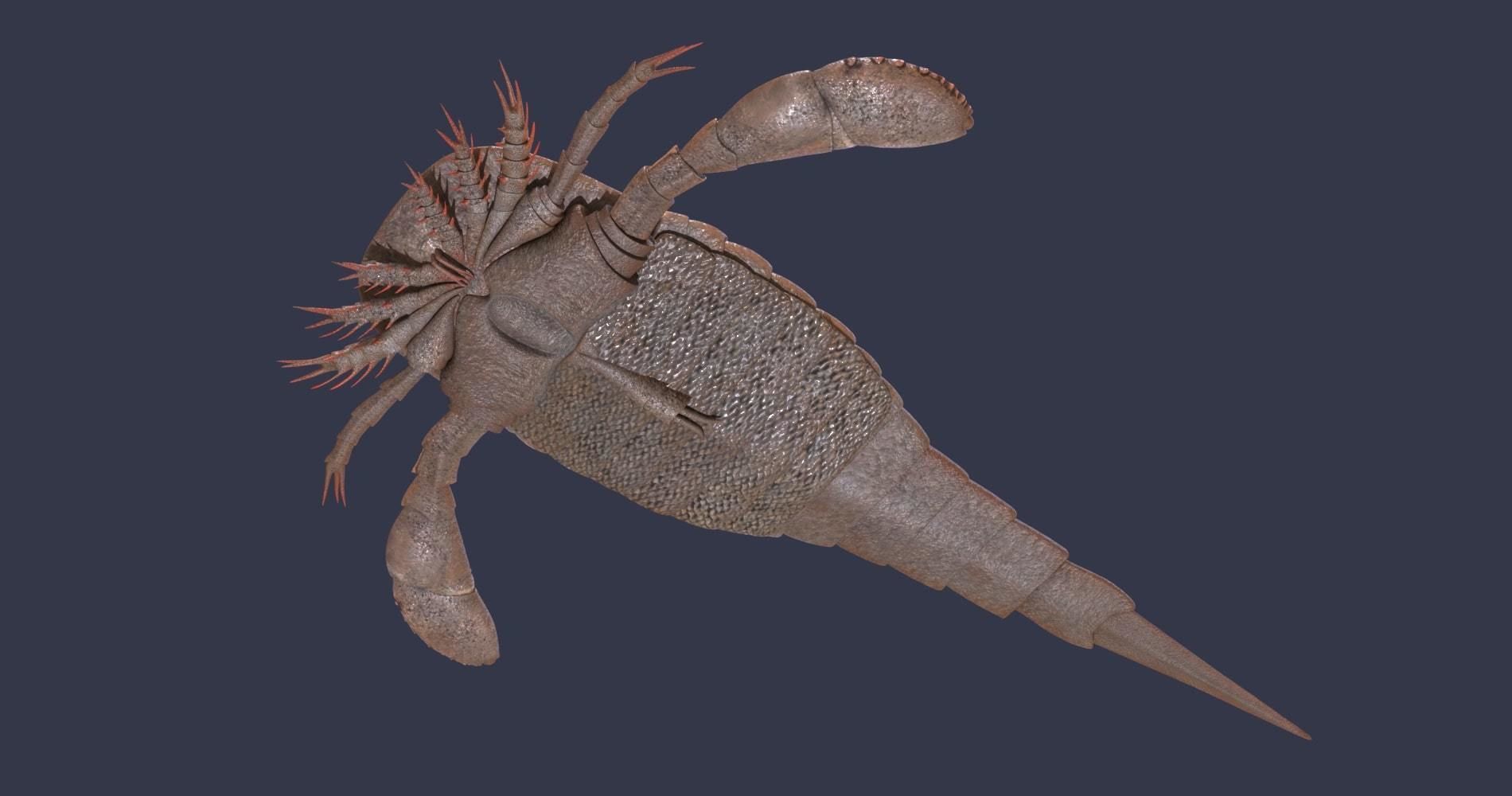 Extinct animals pack version 17 3D model_105