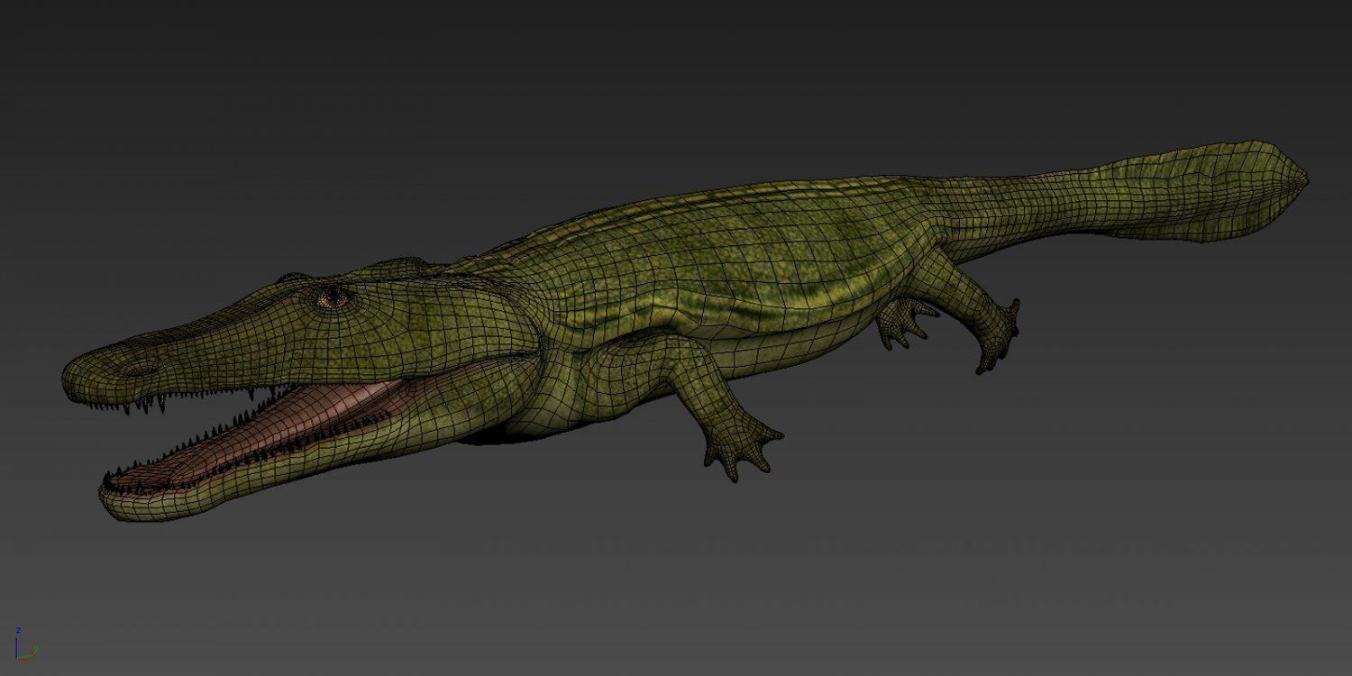 Extinct animals pack version 17 3D model_78