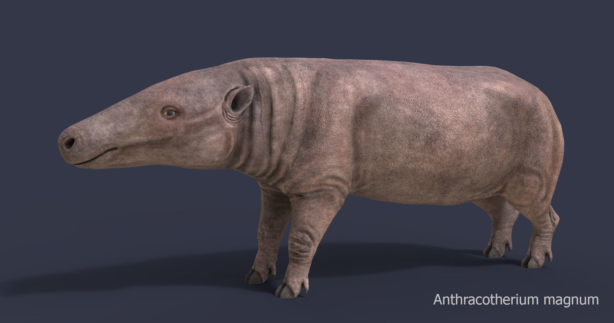 Extinct animals pack version 17 3D model_34