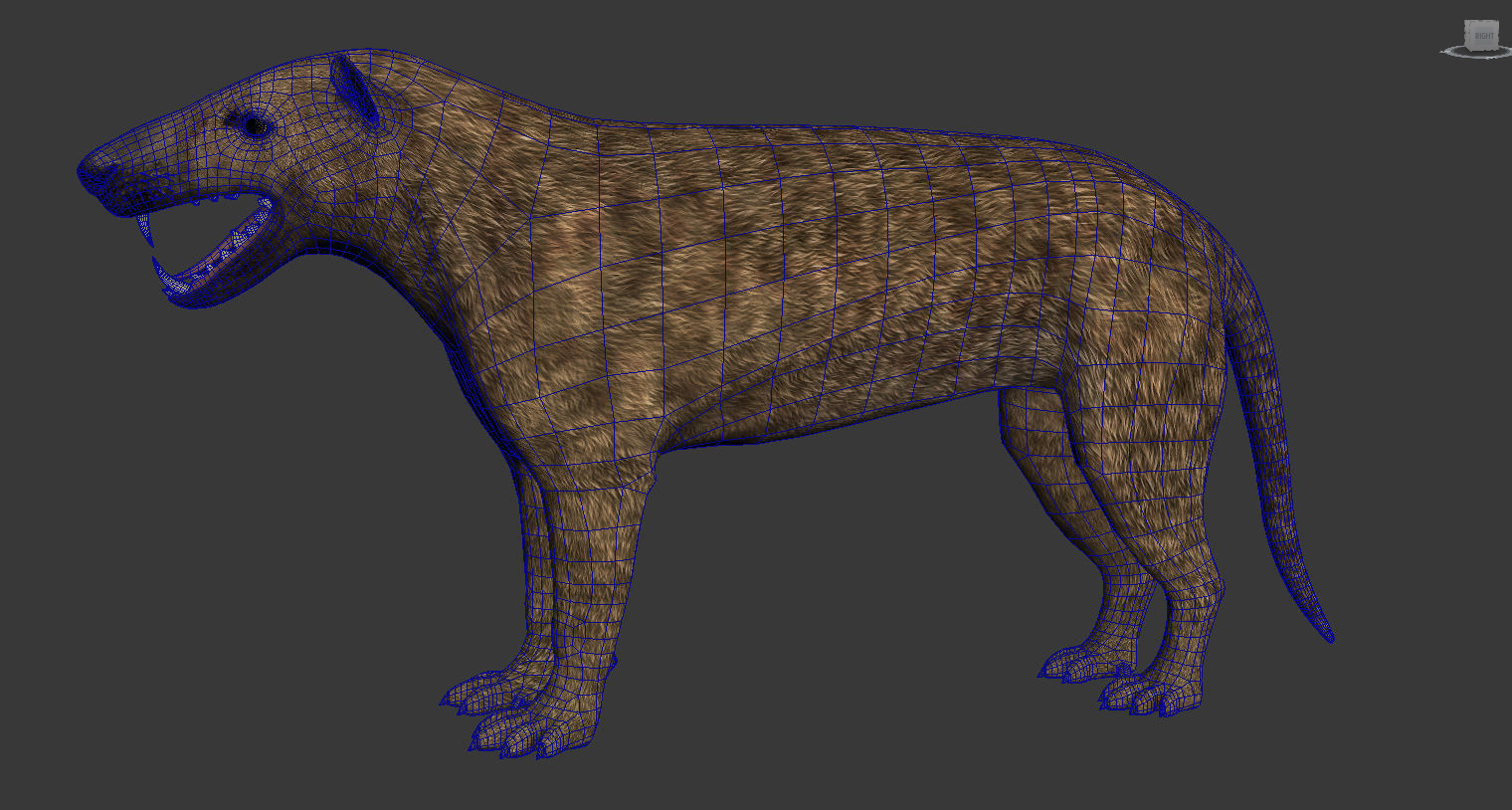 Extinct animals pack version 17 3D model_60