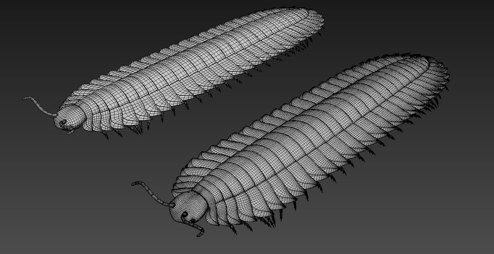 Extinct animals pack version 17 3D model_111