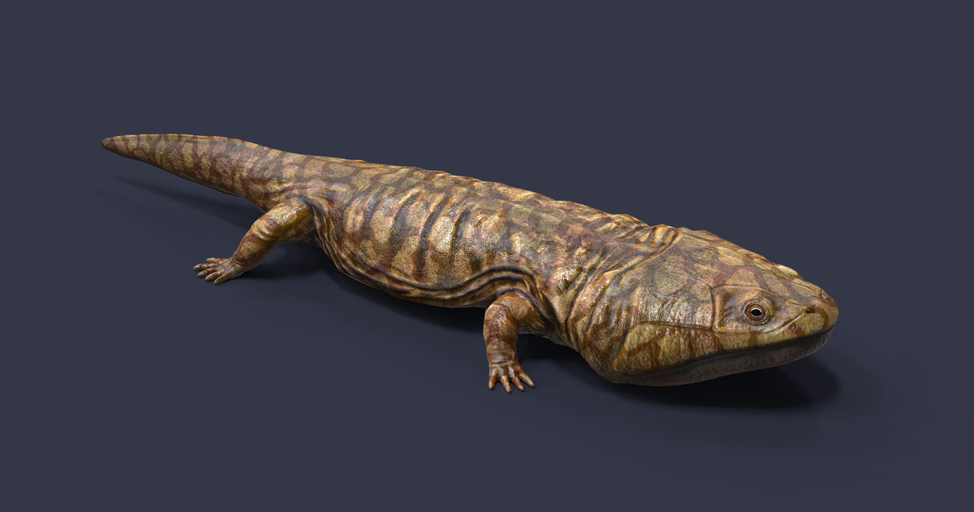 Extinct animals pack version 17 3D model_120
