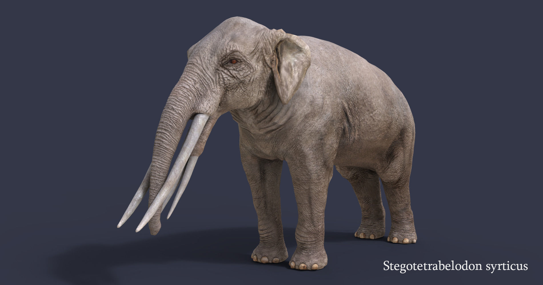 Extinct animals pack version 17 3D model_148
