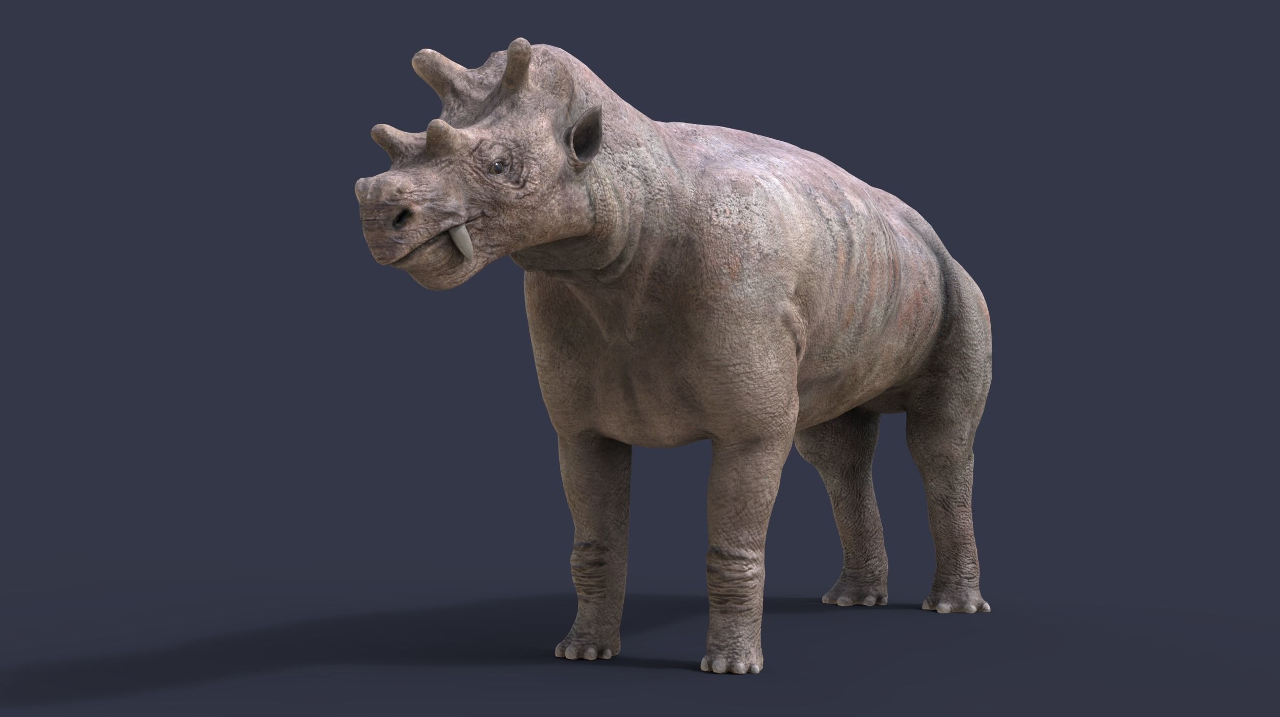 Extinct animals pack version 17 3D model_14