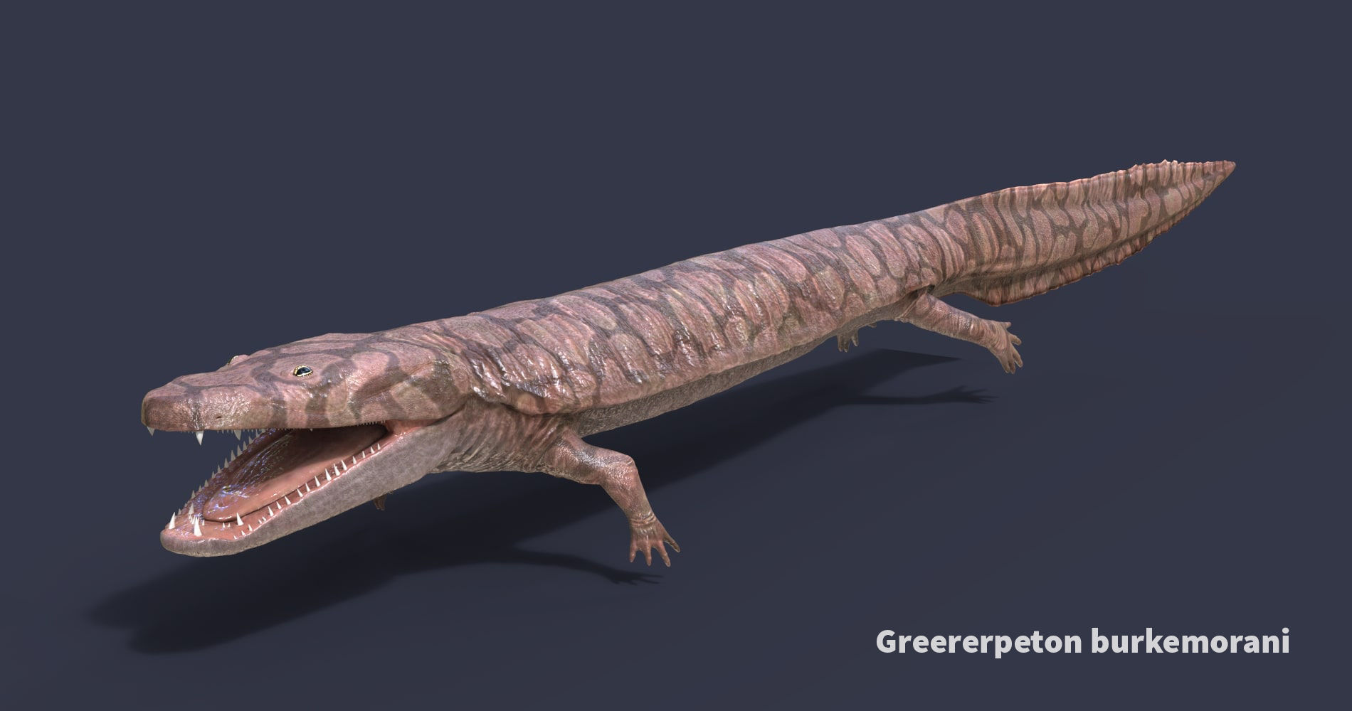 Extinct animals pack version 17 3D model_98