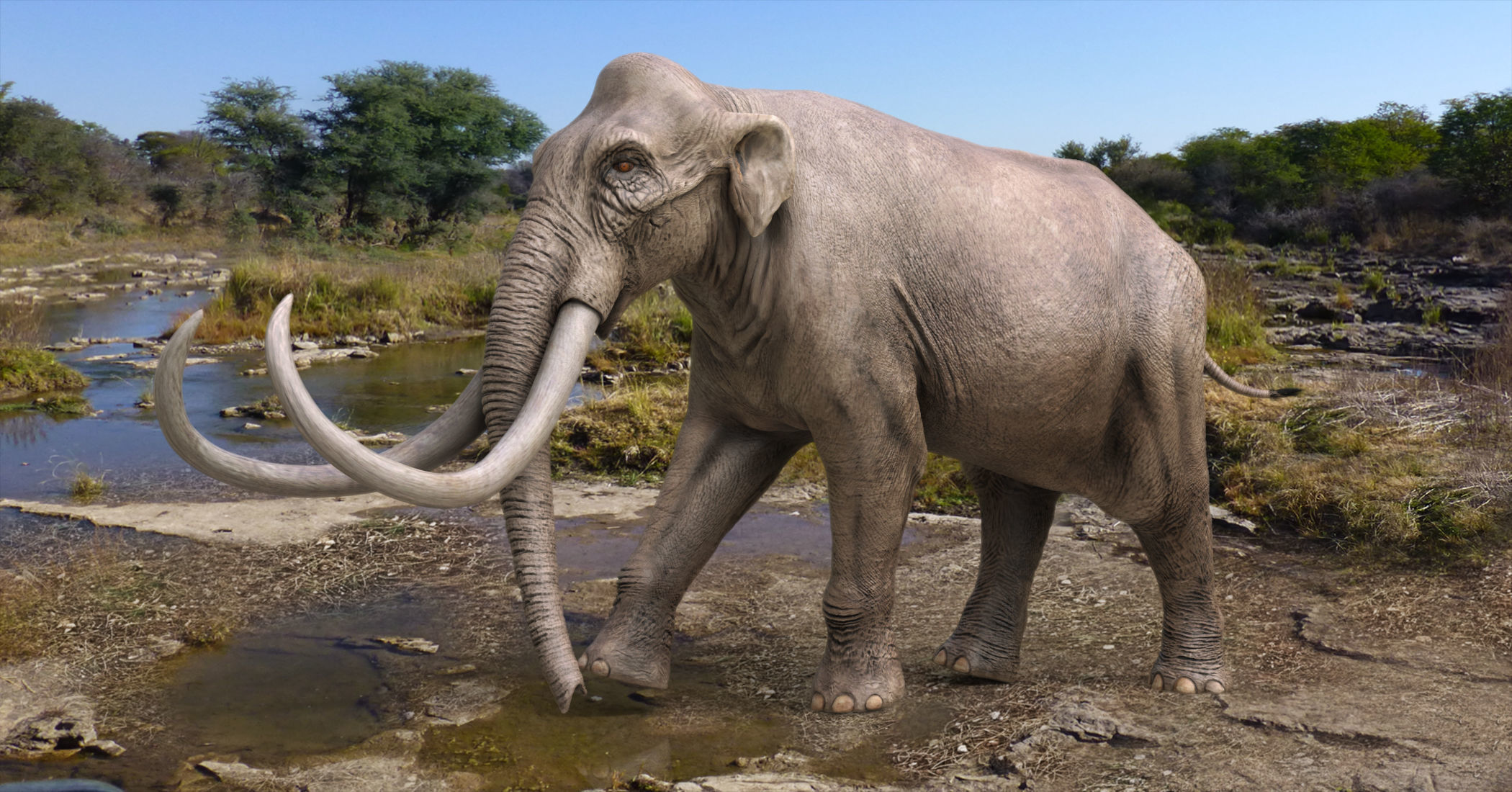 Extinct animals pack version 17 3D model_33