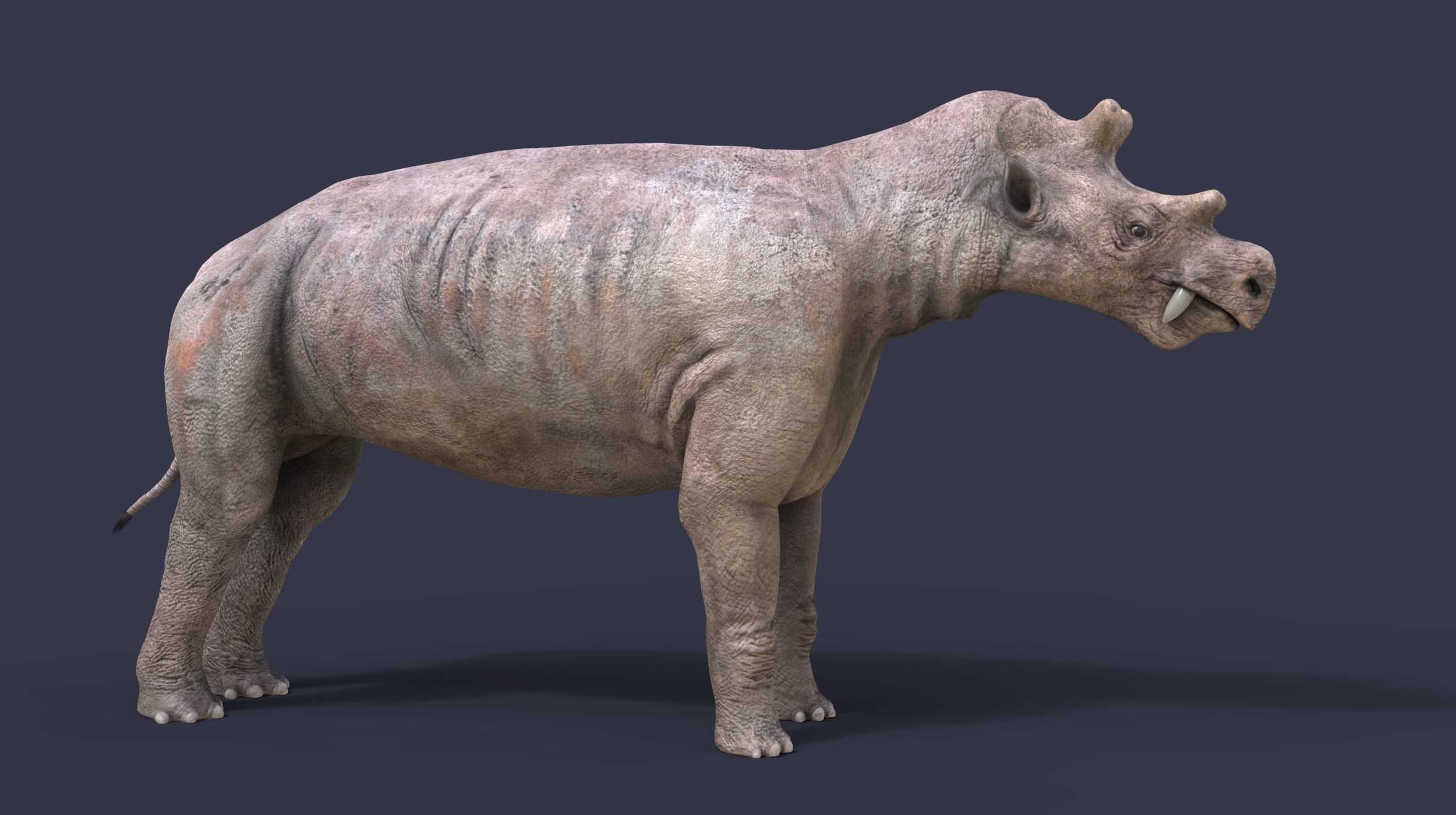 Extinct animals pack version 17 3D model_15