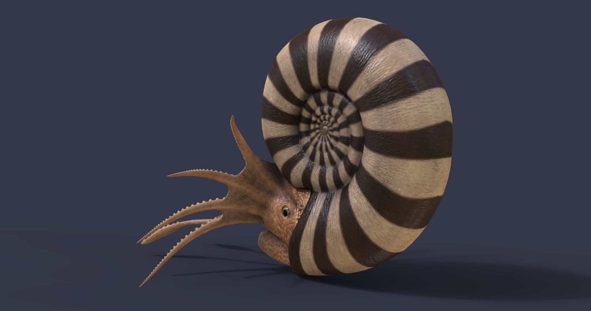 Extinct animals pack version 17 3D model_44