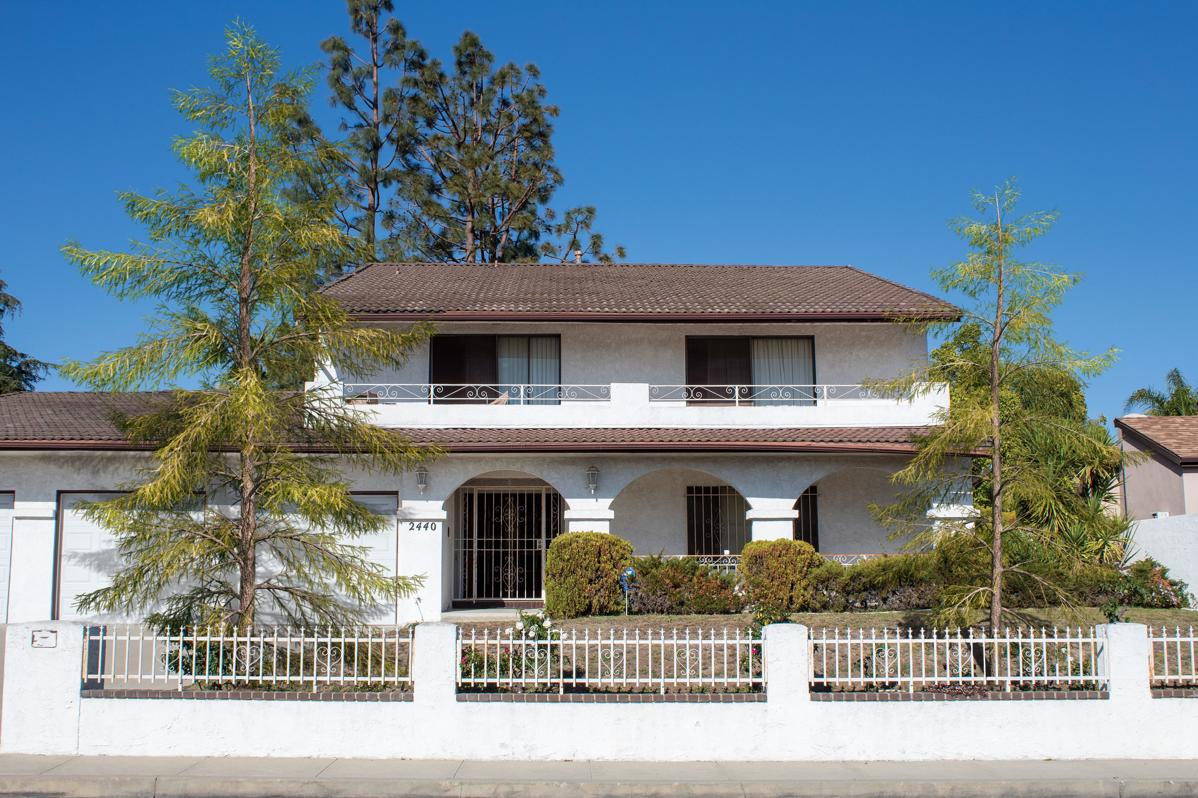 2021 PBR Japanese White Larch Collection - Larix Kaempferi  3D model_2