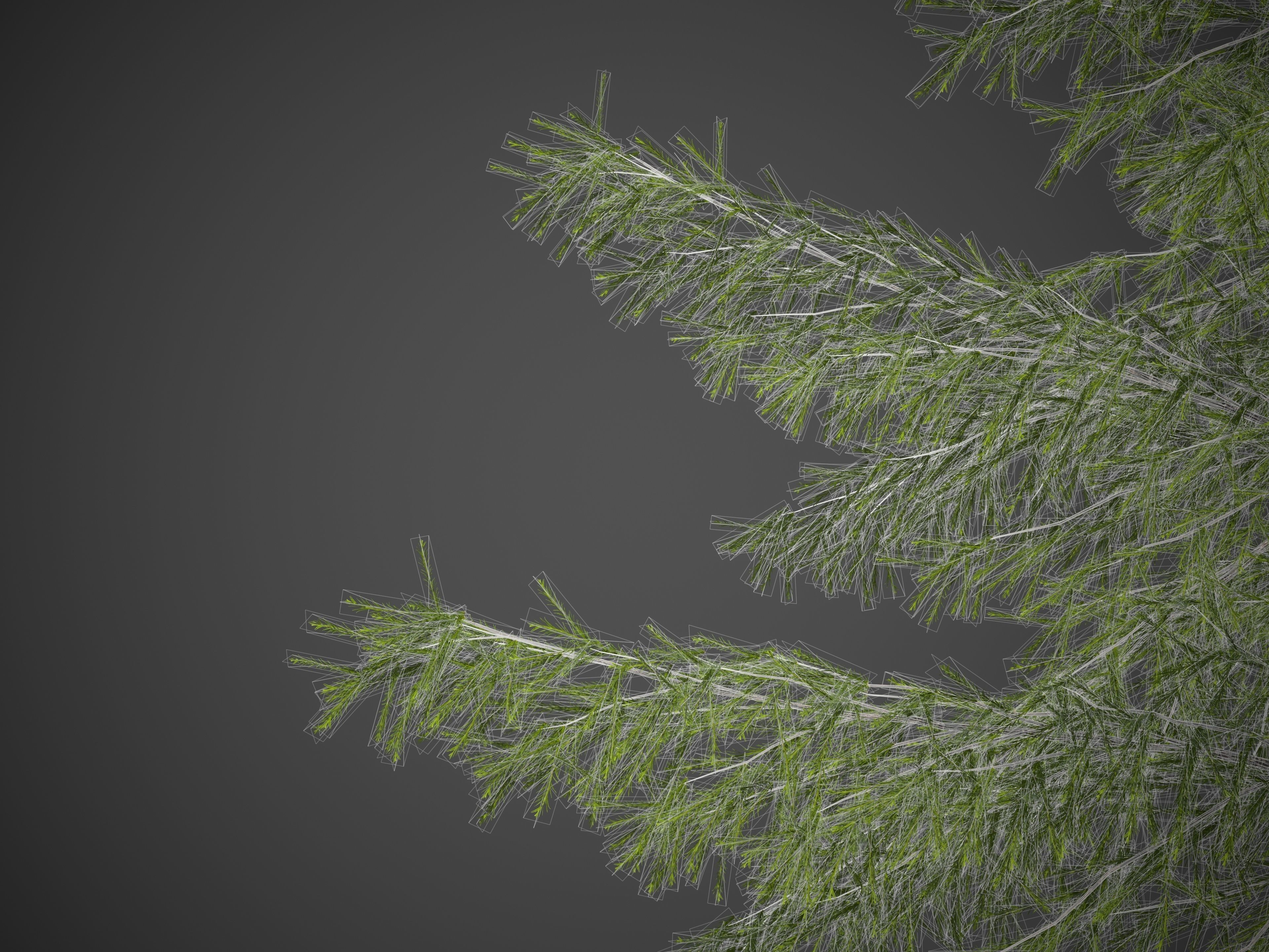 2021 PBR Japanese White Larch Collection - Larix Kaempferi  3D model_9