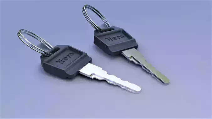 bike keys