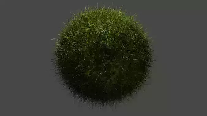 Top Quality Grass Model