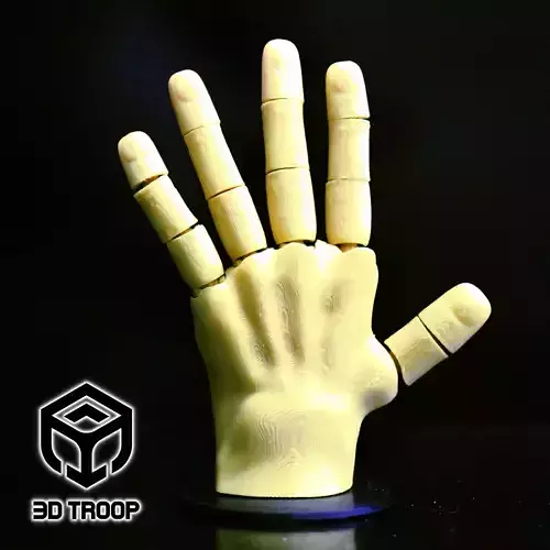 HAND FLEX 3D print model
