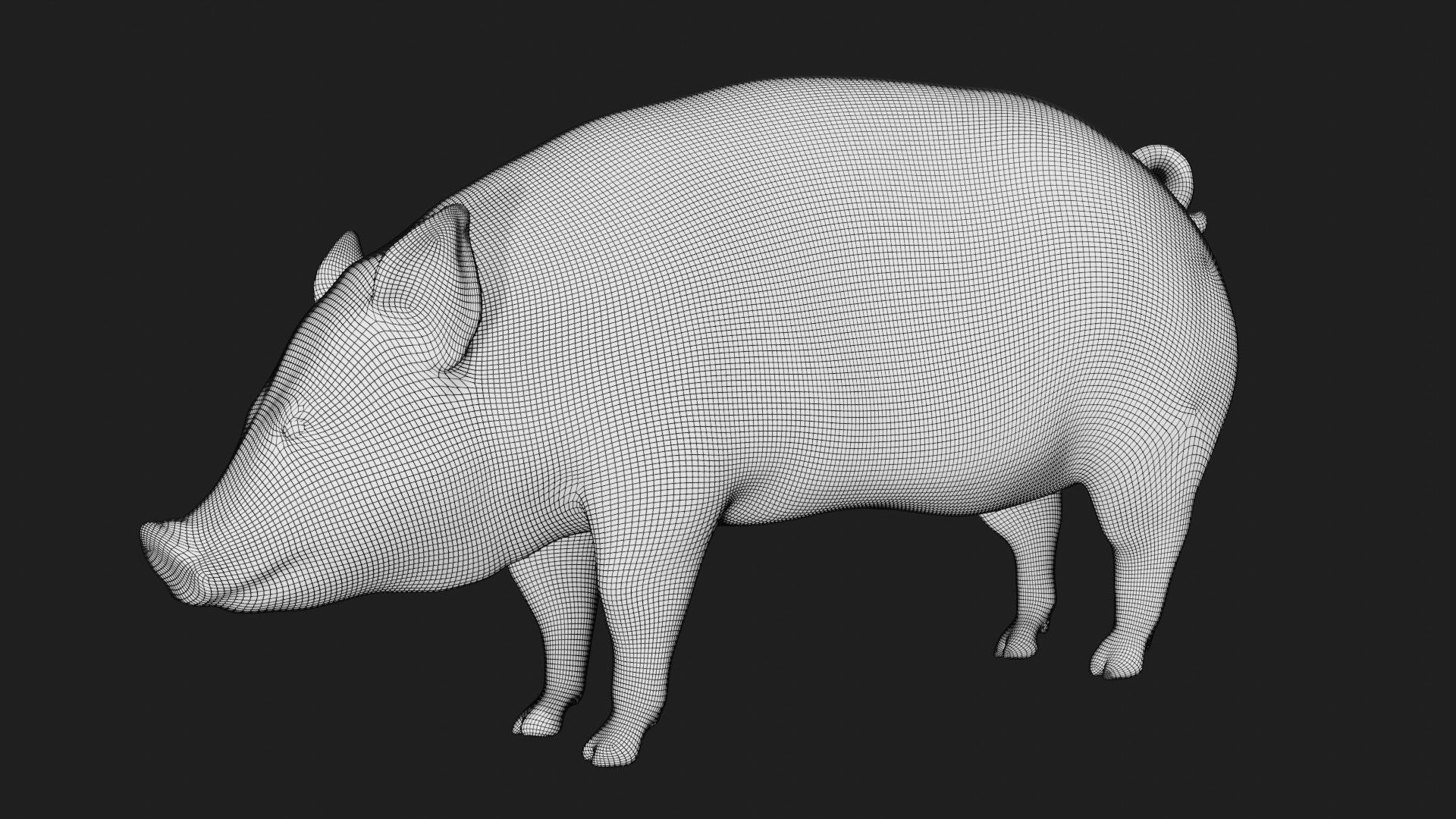 Pig of farm Low-poly 3D model_7