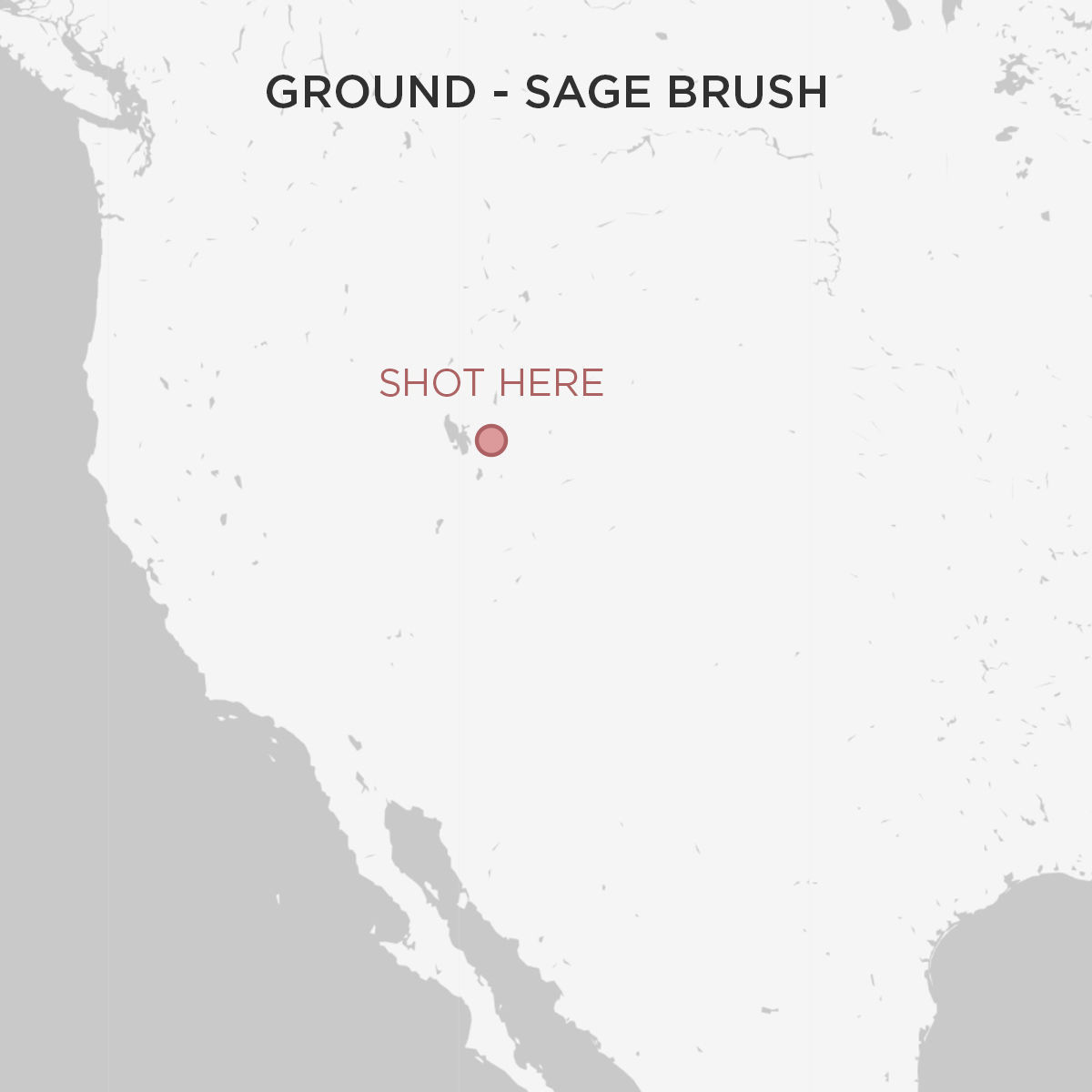 Ground - Sage Brush Texture_1