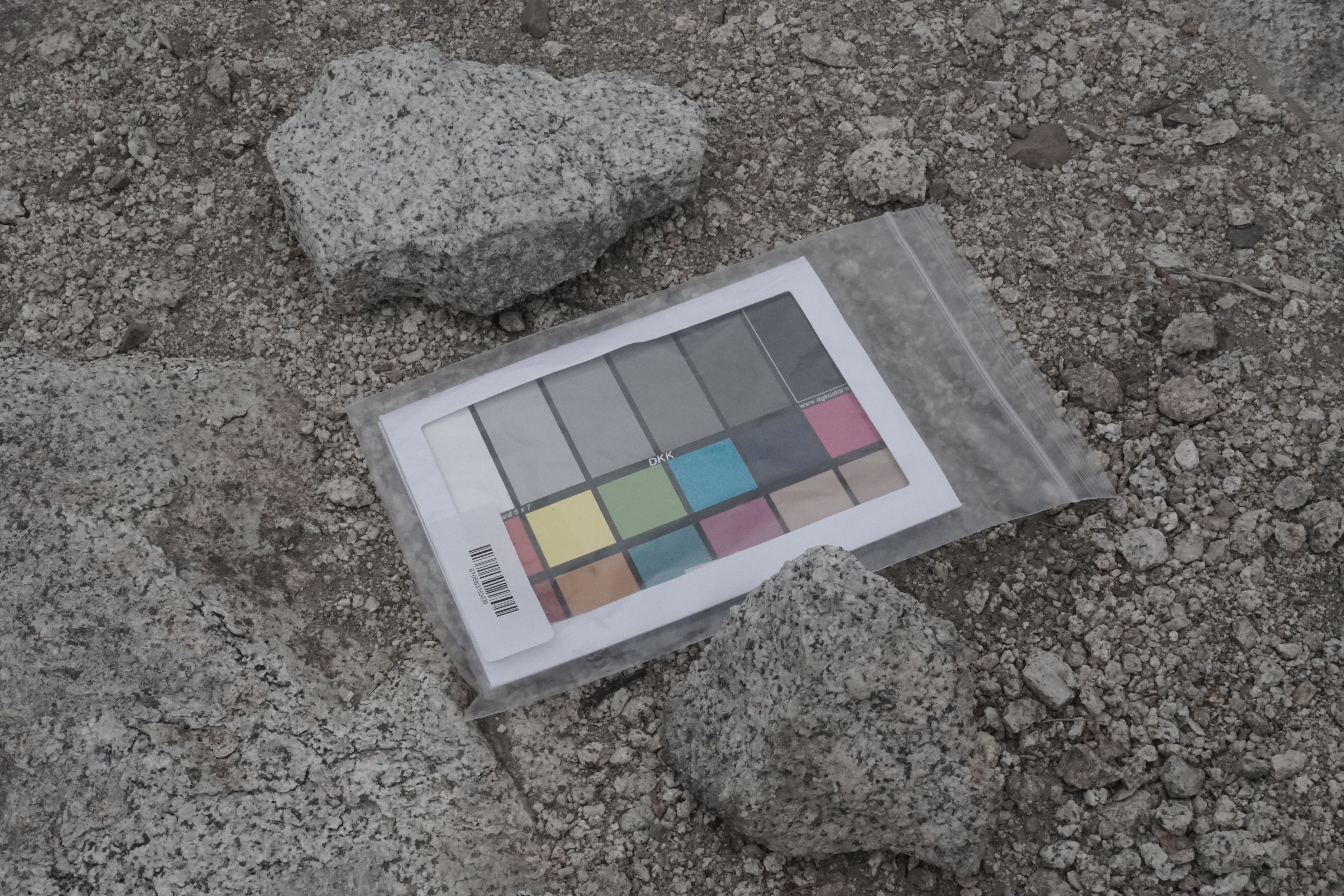 Ground - Sage Brush Texture_4