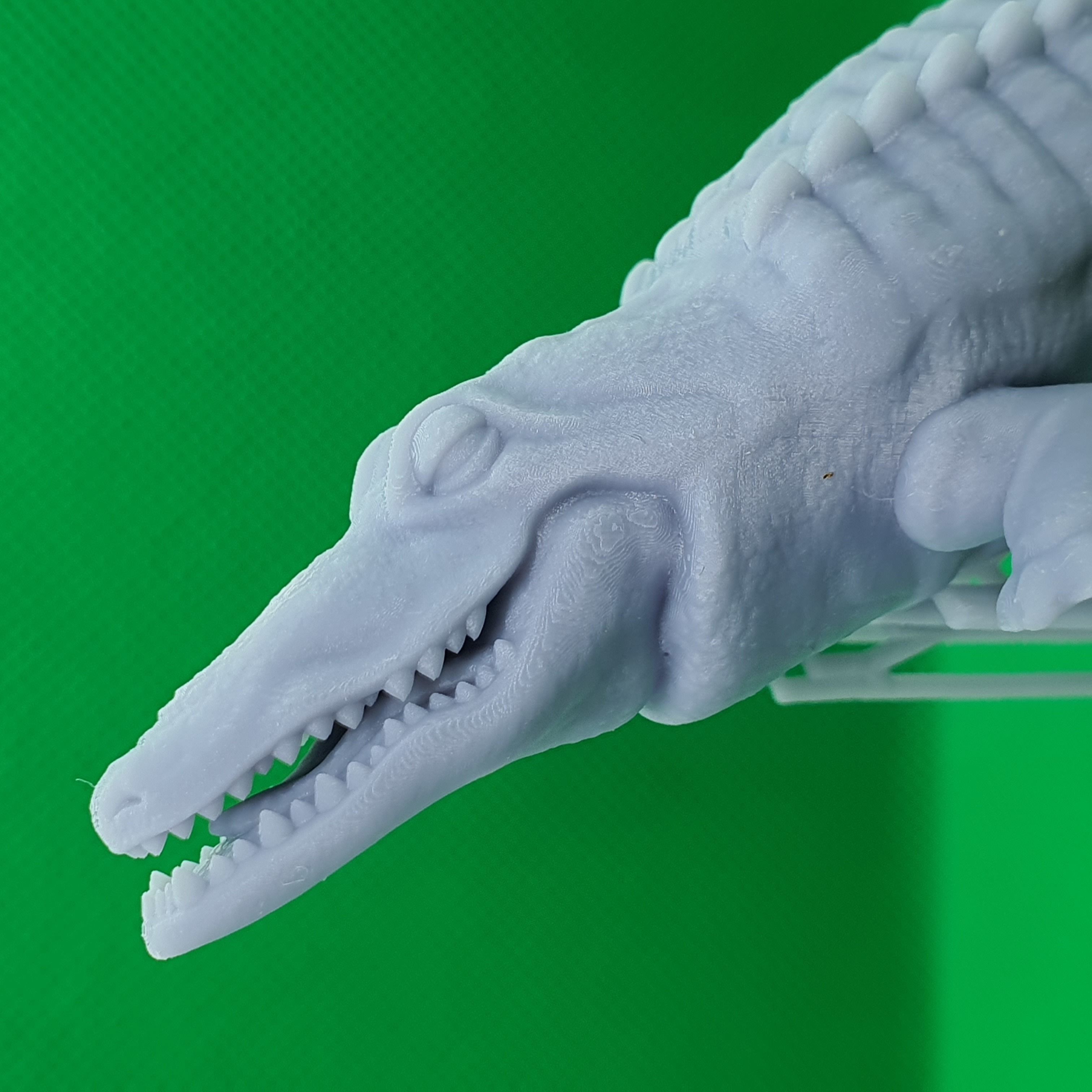 Loki Marvel AlligatorLoki Crocky 3D print model_11