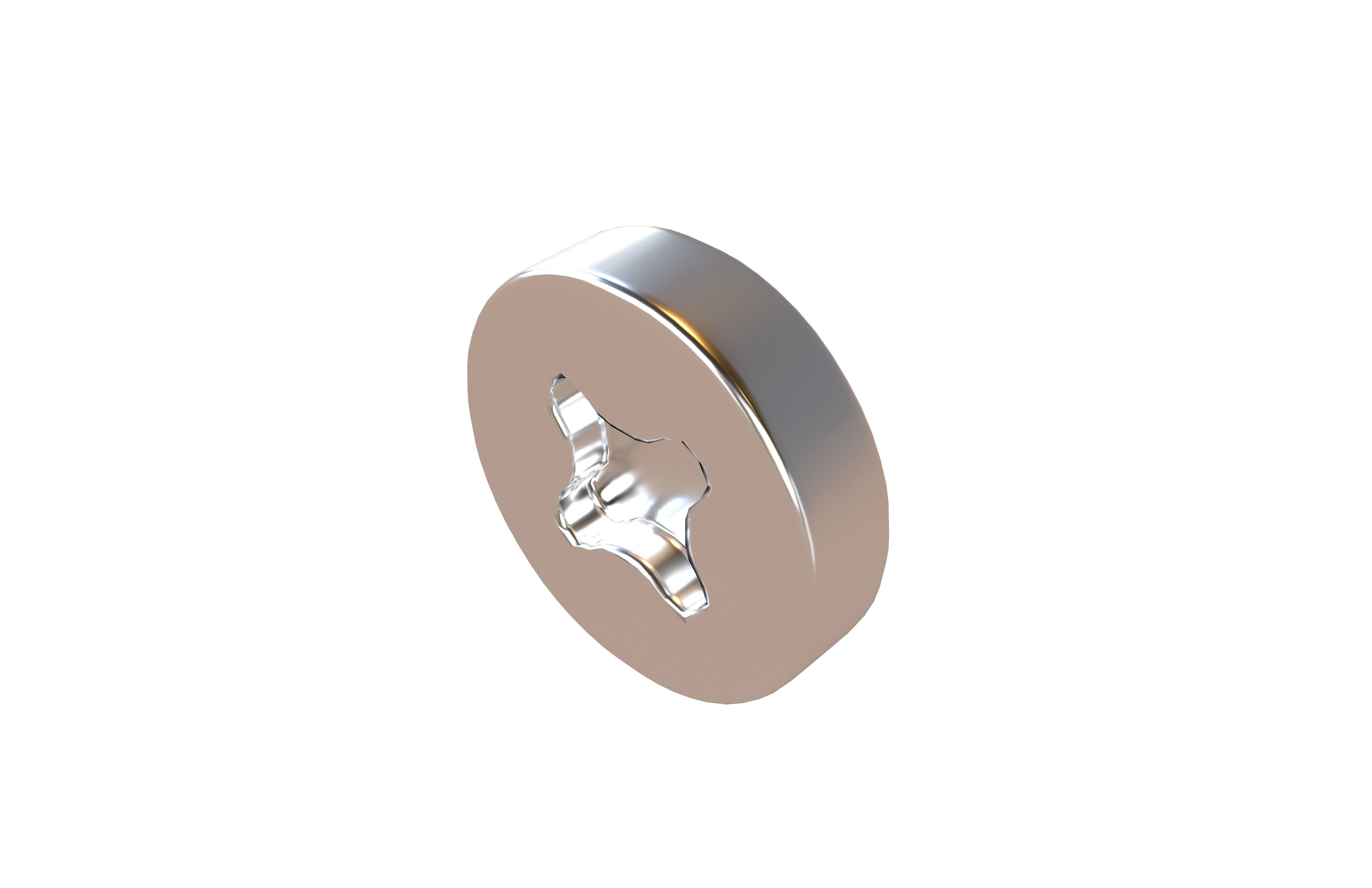 Screw Pack 01 Low-poly 3D model_74