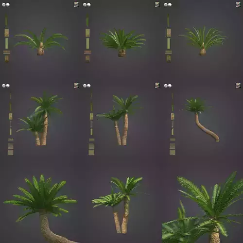 2021 PBR Bushmans River Cycad - Encephalartos Altensteinii 3D model