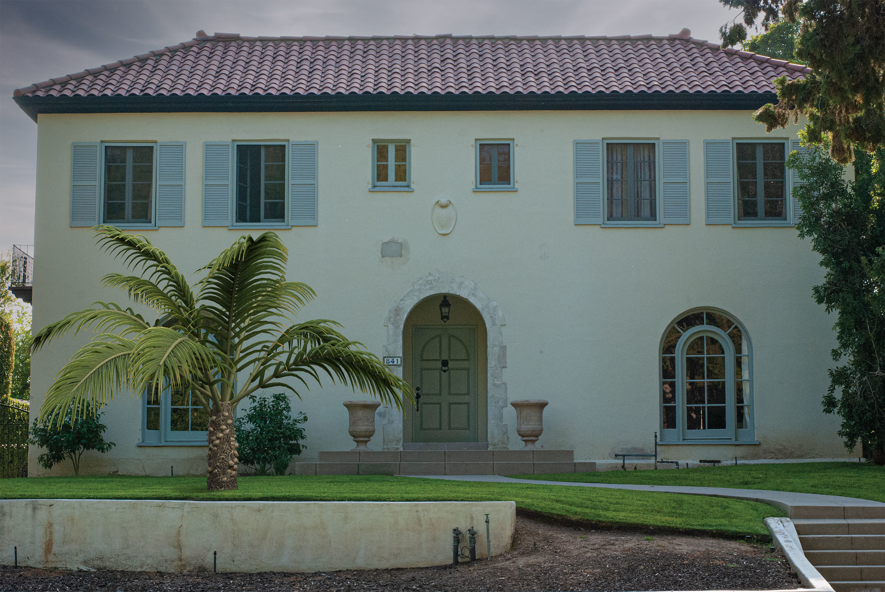 2021 PBR Senegal Date Palm Collection - Phoenix Reclinata 3D model_2