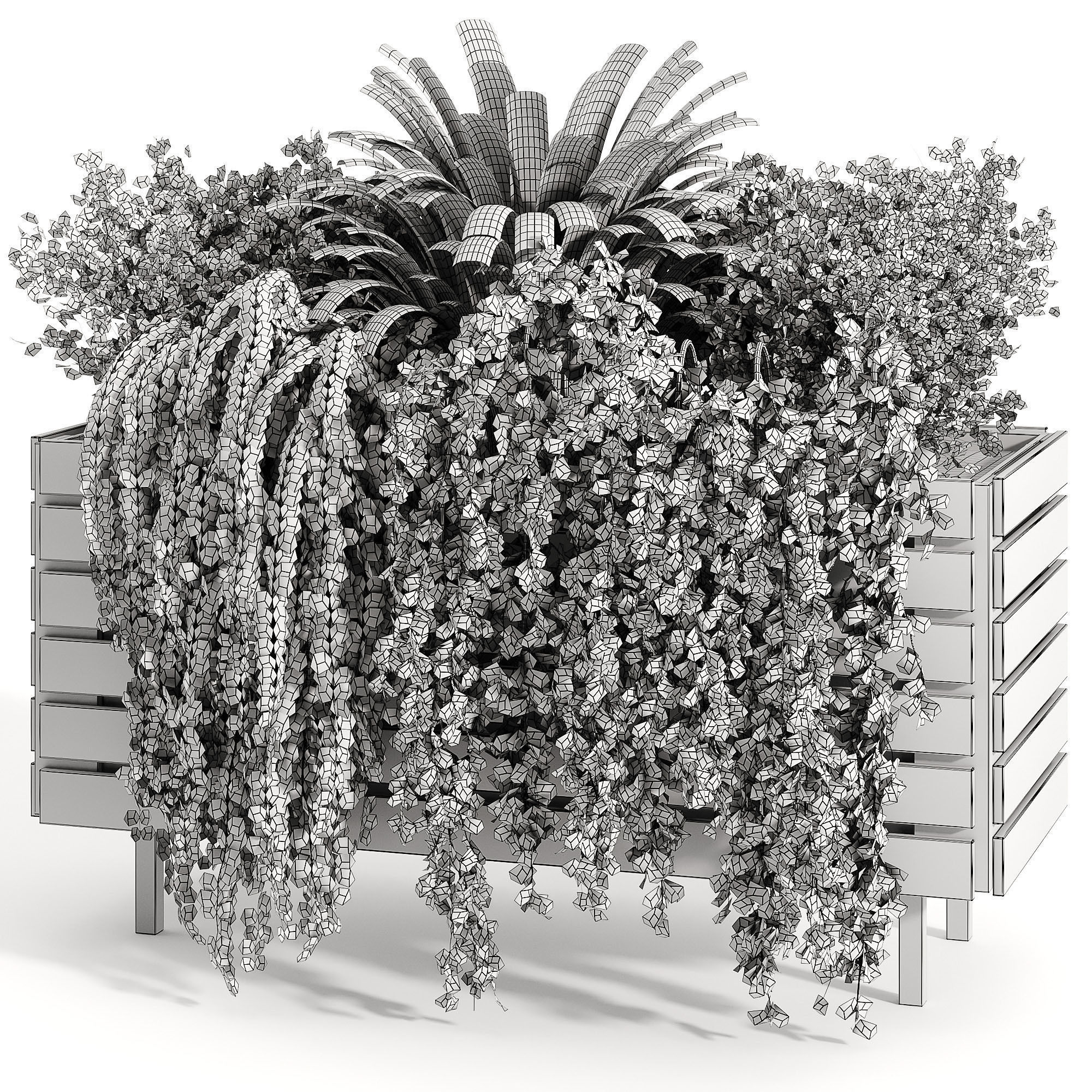 Indoor plant collection 08 3D model_4