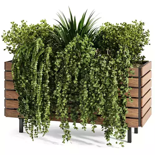 Indoor plant collection 08 3D model