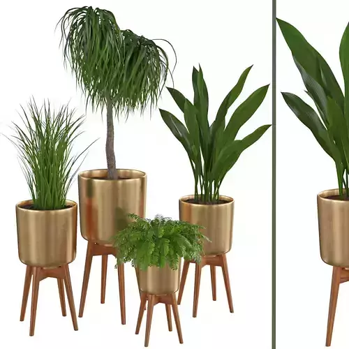 Houseplant 67 3D model
