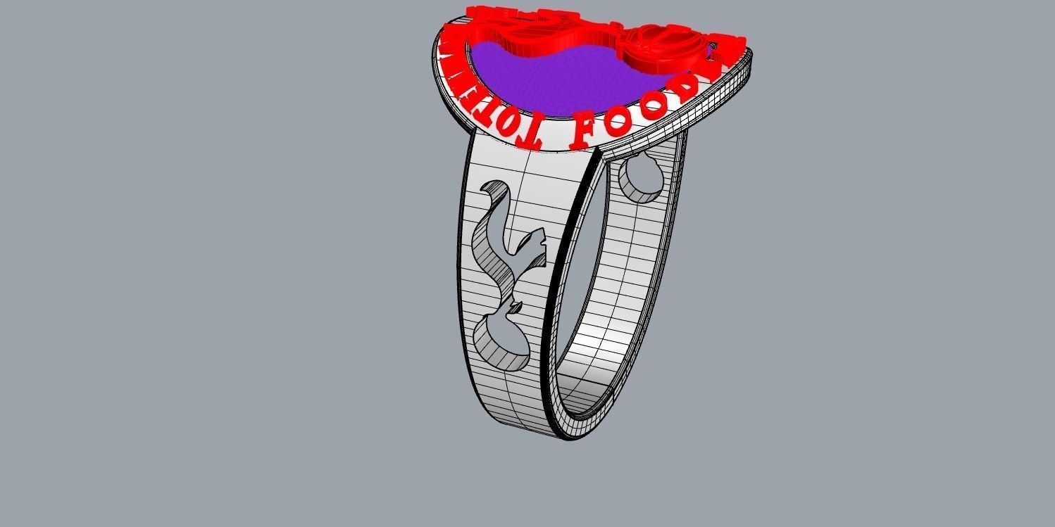 totenham 5 logo for tottenham hotspur football club 3D print model_20