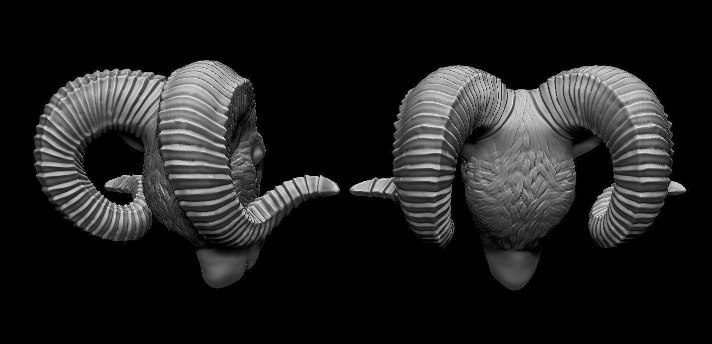 3d Printable Viking Necklace and Ram Head 3D print model_3