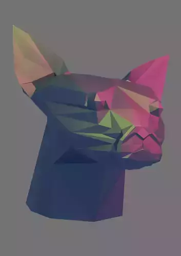 Cat sphinx head