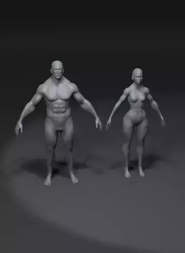Superhero Muscular Human Male Female Body Base Mesh 20k Polygons 3D Model Collection