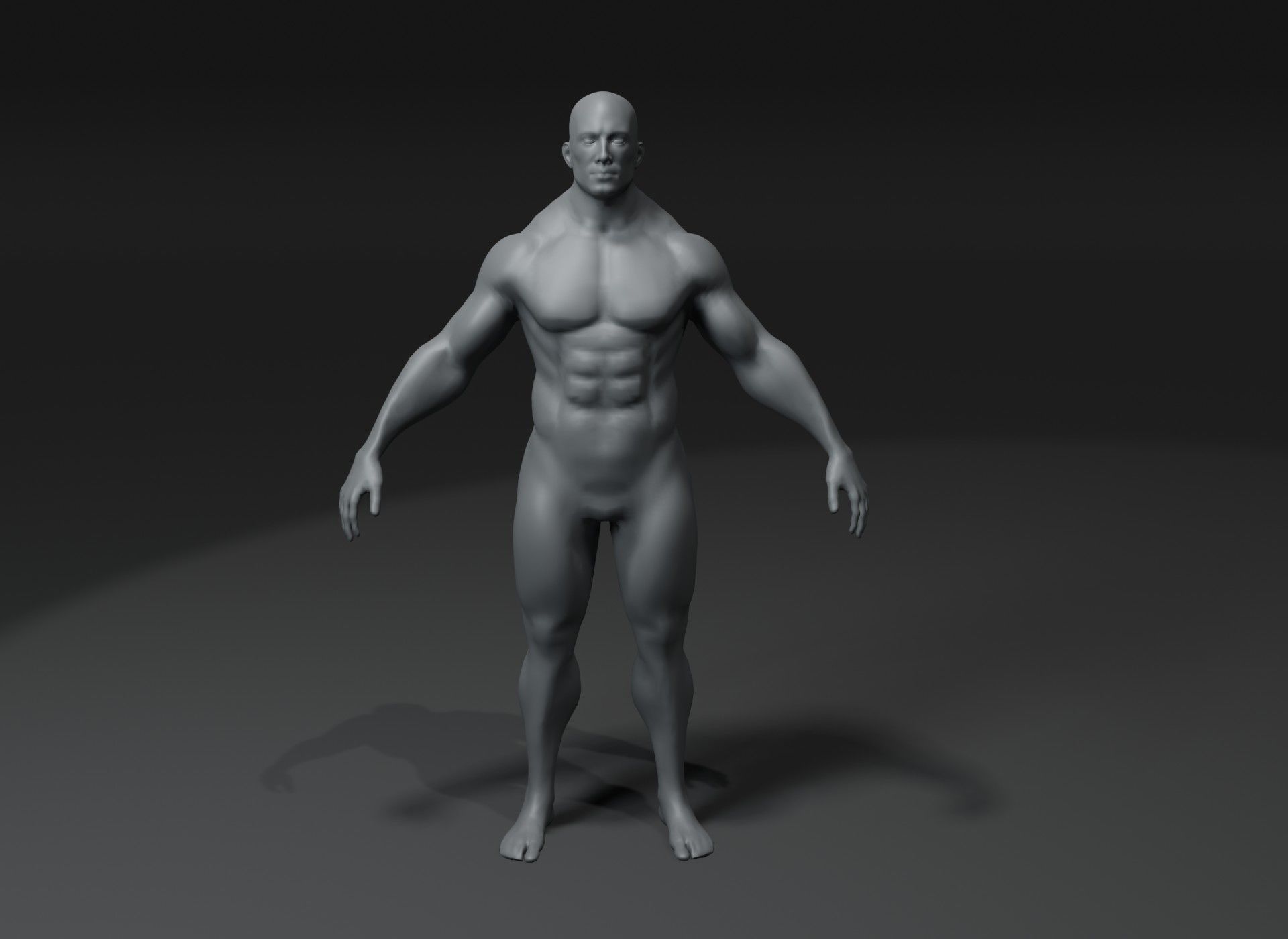 Superhero Muscular Human Male Female Body Base Mesh 20k Polygons 3D Model Collection_4