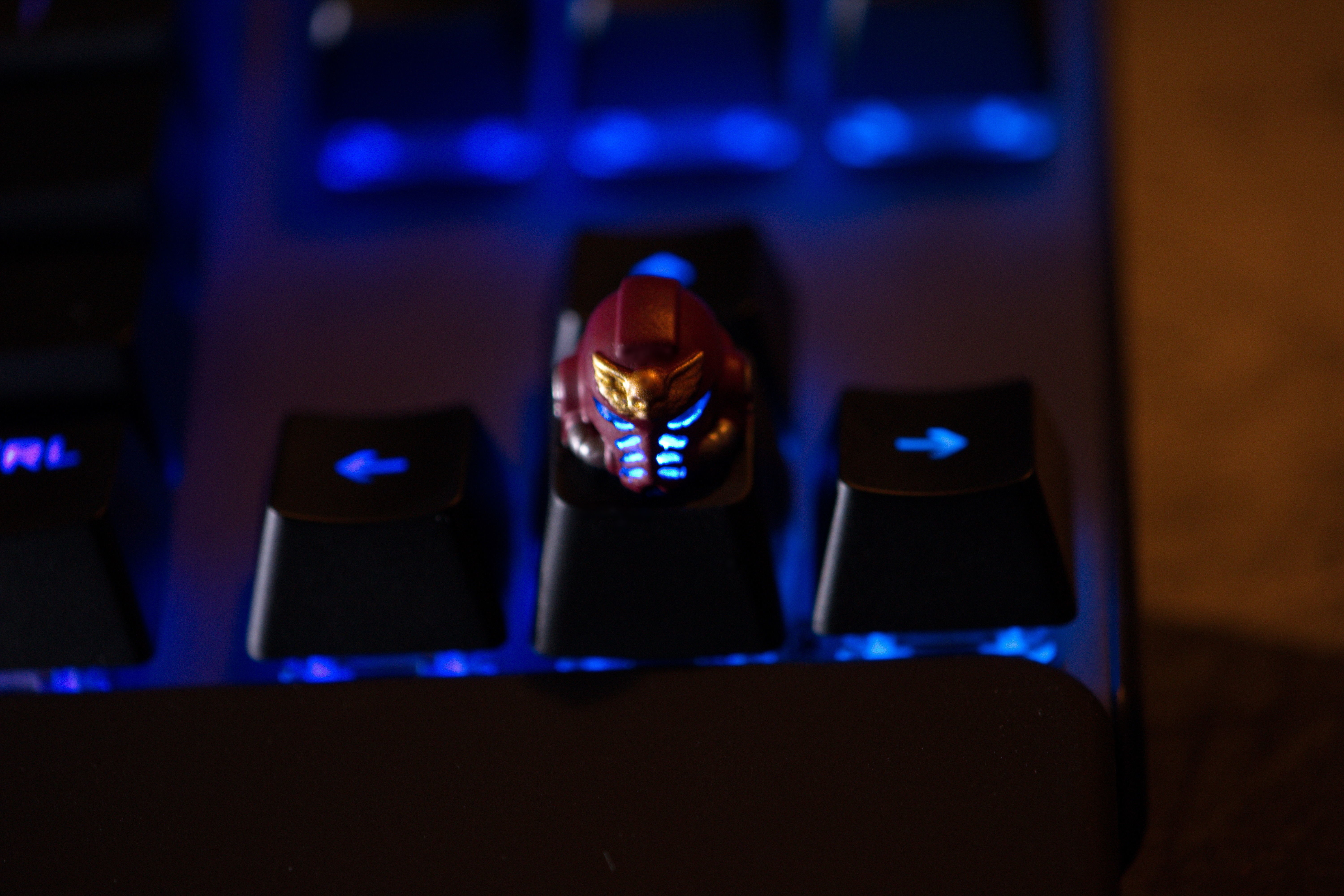 Winged skull Primaris 3D print model_1