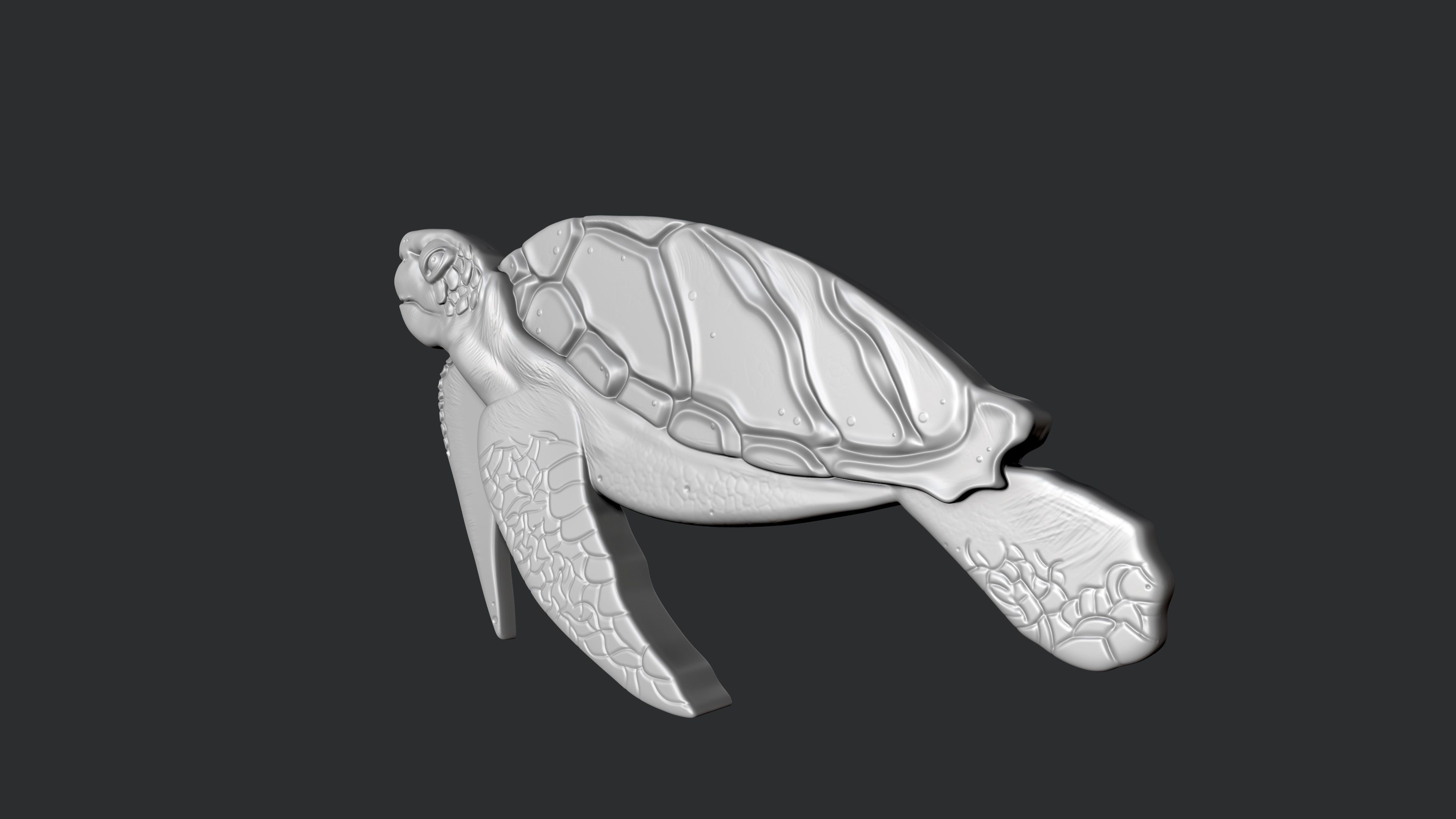 STL models for 3D printing and CNC Turtle 3D print model_2