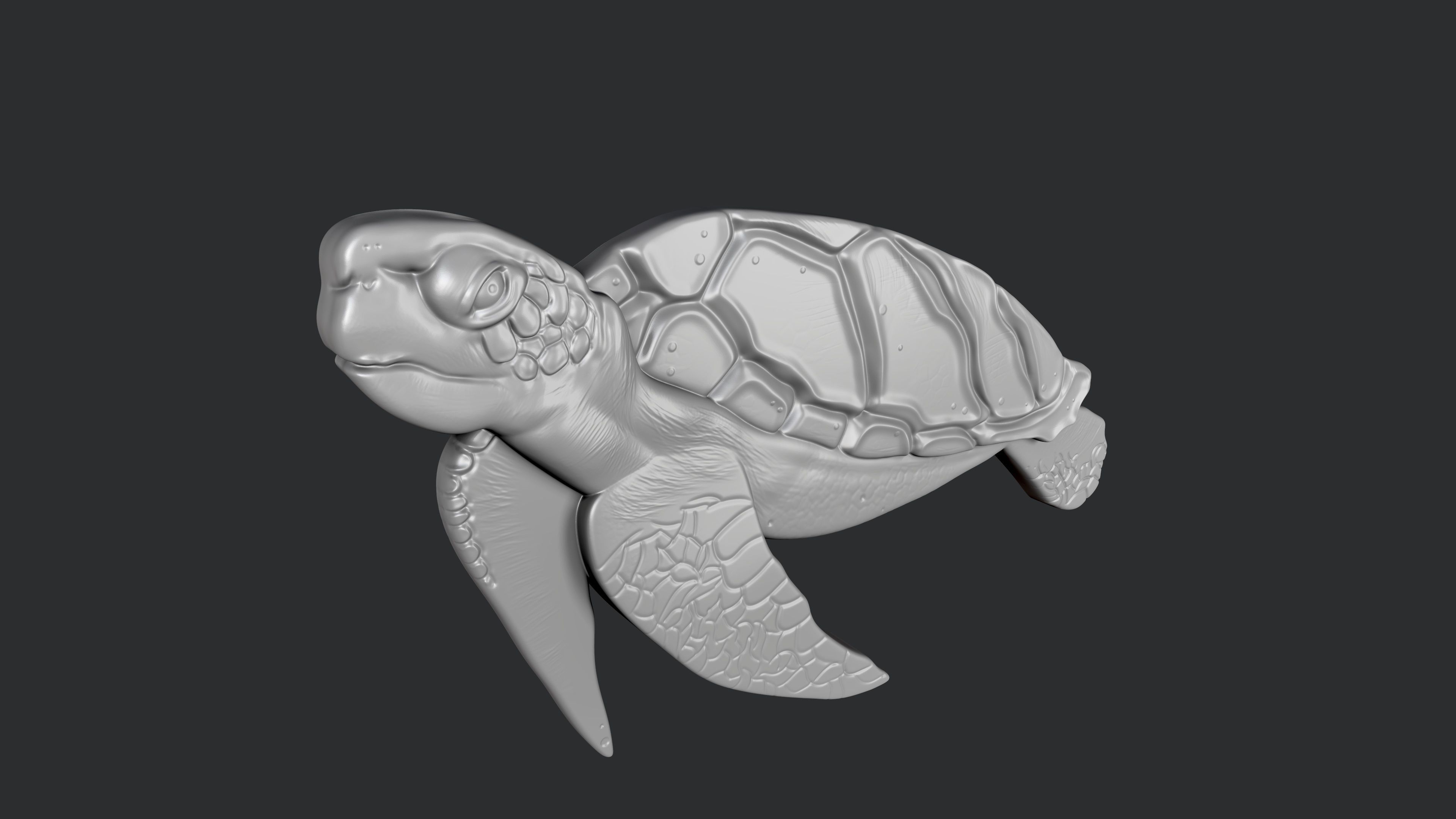 STL models for 3D printing and CNC Turtle 3D print model_1
