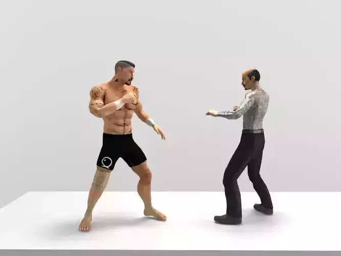 Combo Fight animated