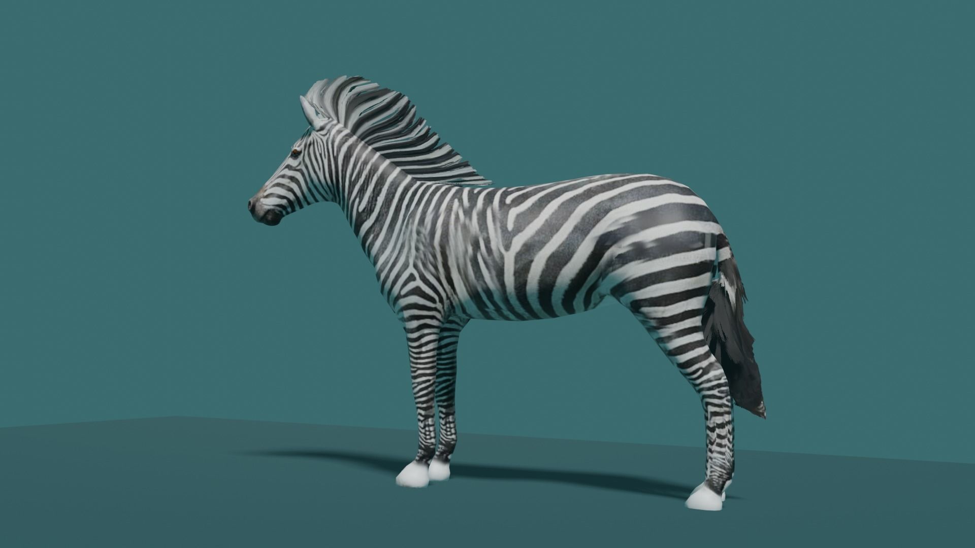 ZEBRA Low-poly 3D model_3
