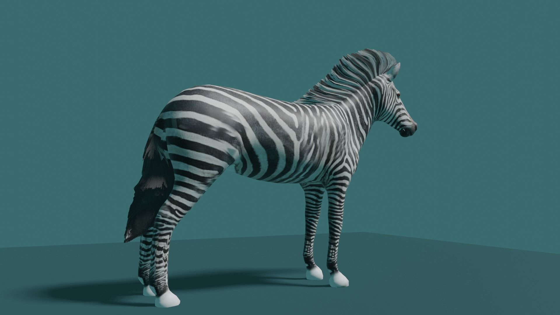 ZEBRA Low-poly 3D model_10