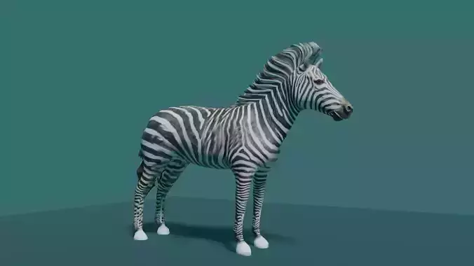 ZEBRA Low-poly 3D model