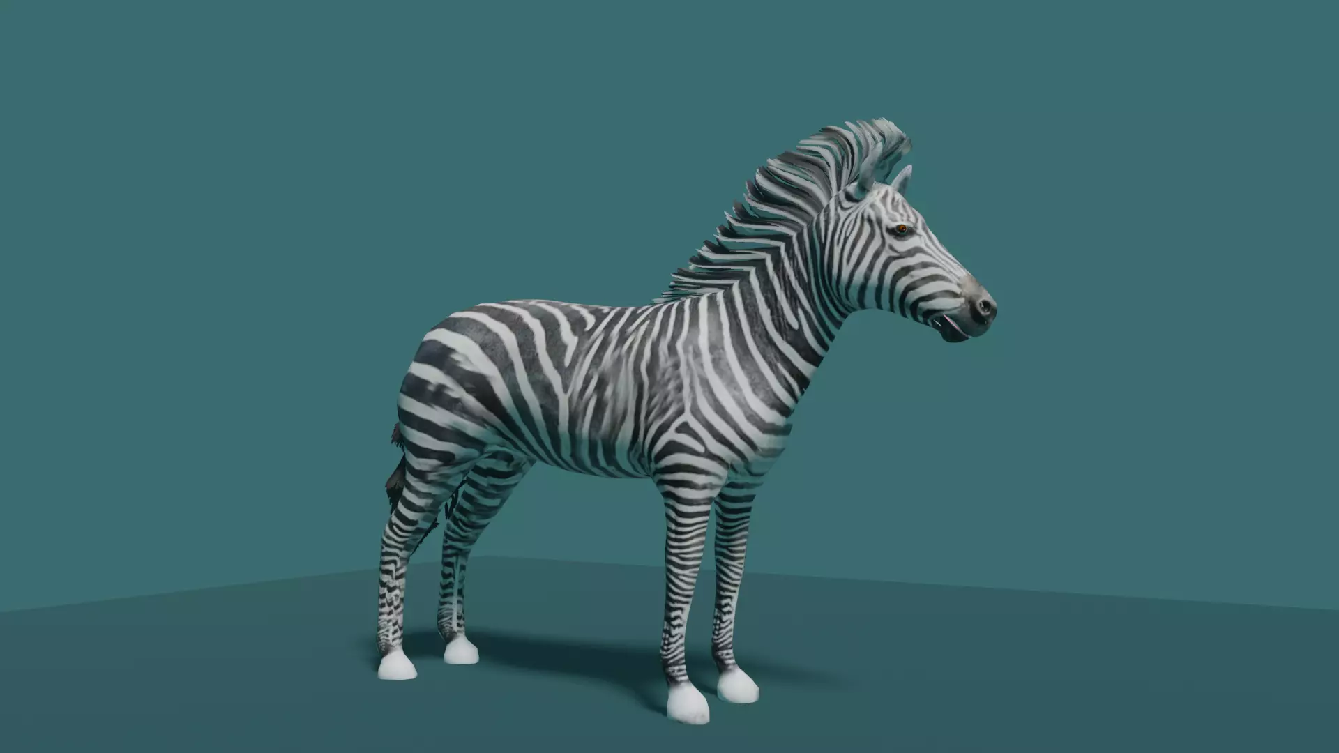 ZEBRA Low-poly 3D model_0