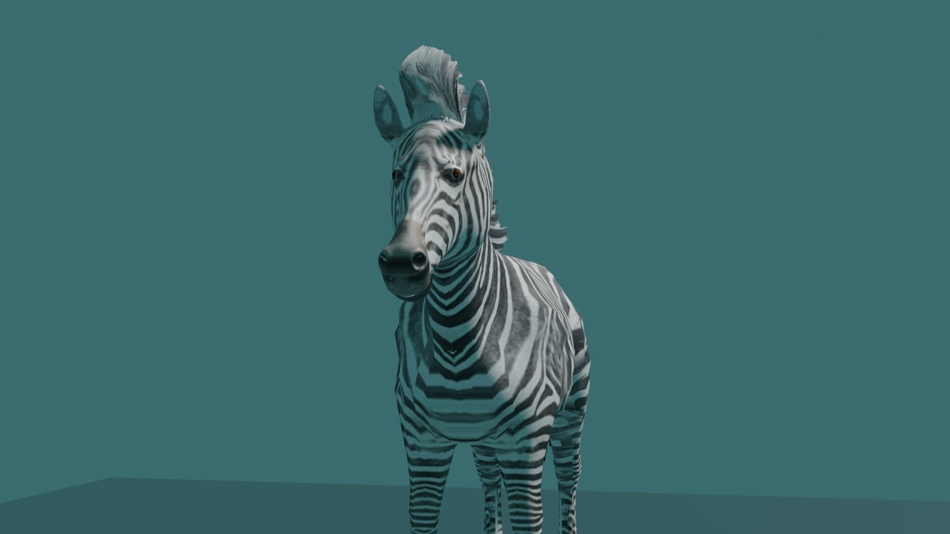 ZEBRA Low-poly 3D model_6