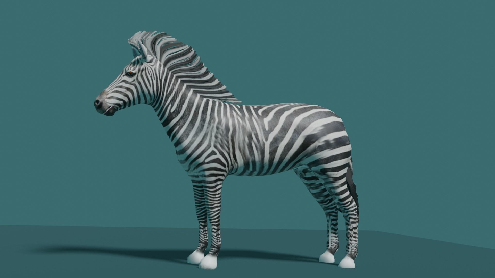 ZEBRA Low-poly 3D model_1